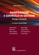 Cover of Pianificazione e controllo di gestione. Principi e strumenti