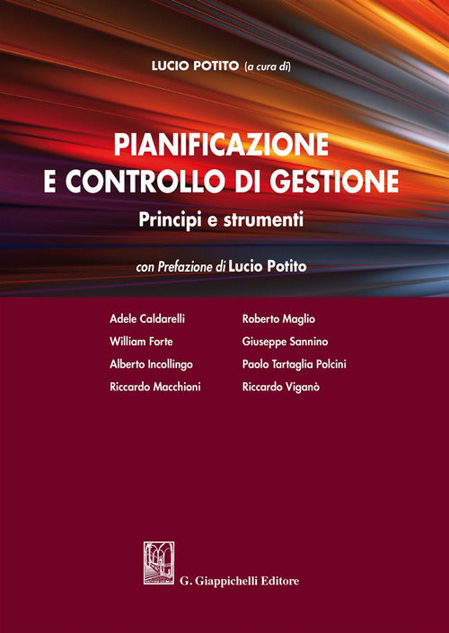 Cover of Pianificazione e controllo di gestione. Principi e strumenti