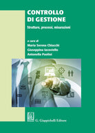 Cover of Controllo di gestione. Strutture, processi, misurazioni