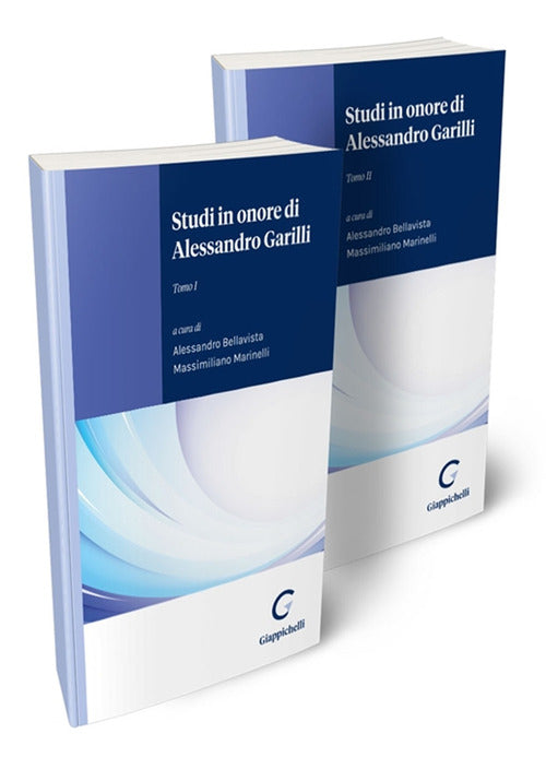 Cover of Studi in onore di Alessandro Garilli