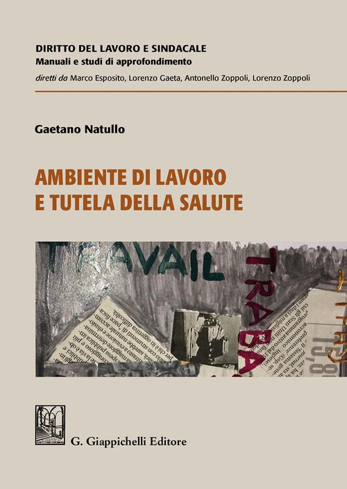Cover of Ambiente di lavoro e tutela della salute