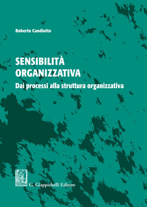 Cover of Sensibilità organizzativa. Dai processi alla struttura organizzativa