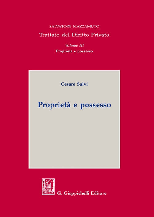 Cover of Proprietà e possesso