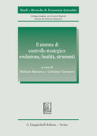 Cover of sistema di controllo strategico: evoluzione, finalità, strumenti