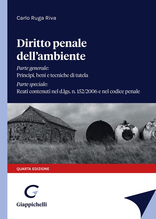 Cover of Diritto penale dell'ambiente
