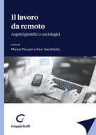 Cover of lavoro da remoto. Aspetti giuridici e sociologici