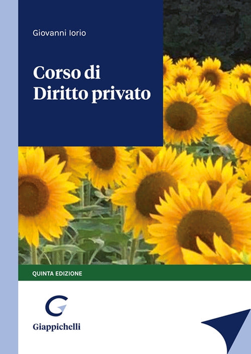 Cover of Corso di diritto privato