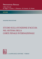 Cover of Studio sulla funzione d'accusa nel sistema della Corte penale internazionale