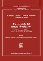 Cover of potenziale del settore idroelettrico. Atti del Convegno di Bolzano 29 aprile 2022 tenutosi presso la Camera di Commercio, Industria, Artigianato e Agricoltura di Bolzano