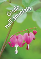 Cover of Credo nell'amicizia. Un pensiero per