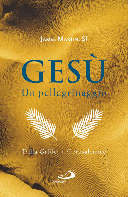 Cover of Gesù. Un pellegrinaggio. Dalla Galilea a Gerusalemme