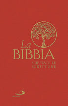 Cover of Bibbia. Scrutate le Scritture