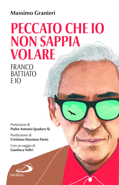 Cover of Peccato che io non sappia volare. Franco Battiato e io