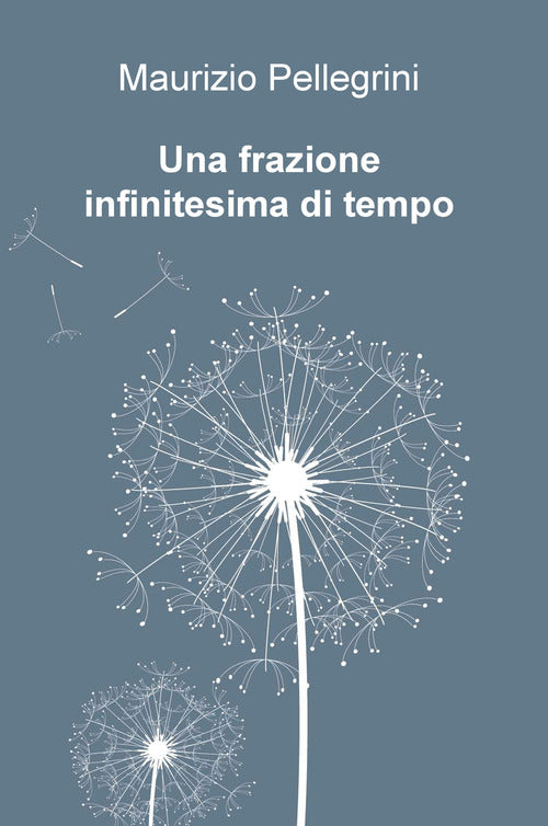 Cover of frazione infinitesima di tempo