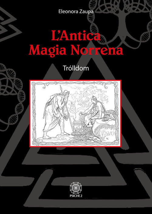 Cover of antica magia norrena. Trólldom
