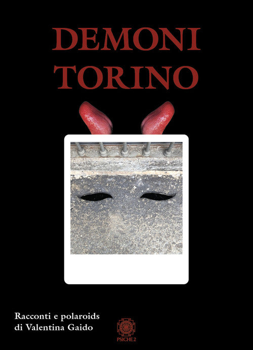 Cover of Demoni Torino. Racconti e polaroids