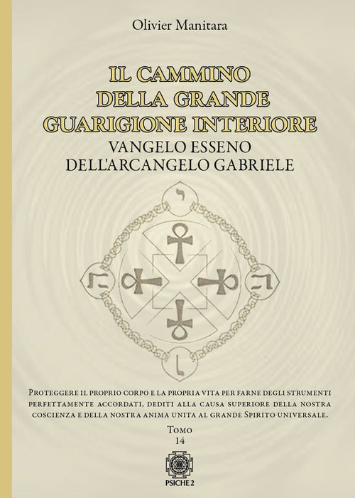 Il cammino della grande guarigione interiore. Vangelo esseno dell'arcangelo Gabriele. Vol. 14