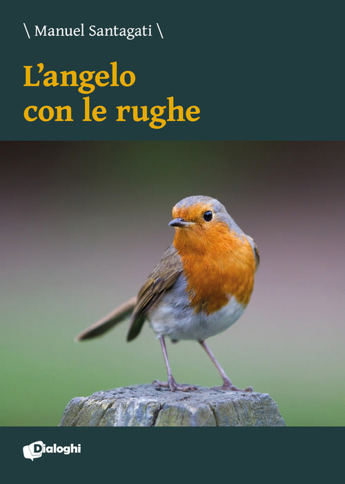 Cover of angelo con le rughe
