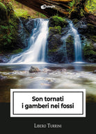 Cover of Son tornati i gamberi nei fossi