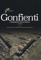 Cover of Gonfienti. L'insediamento etrusco e romano. Lo scavo