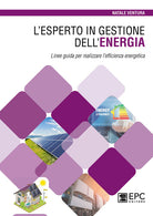 L'esperto in gestione dellenergia. Linee guida per realizzare lefficienza energetica
