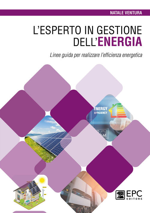 L'esperto in gestione dellenergia. Linee guida per realizzare lefficienza energetica
