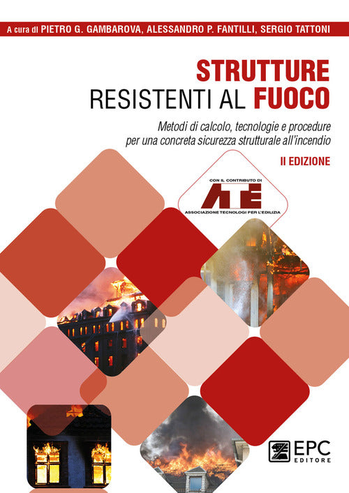 Cover of Strutture resistenti al fuoco