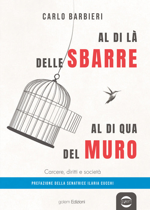 Al di la delle sbarre, al di qua del muro. Carcere, diritti e societ