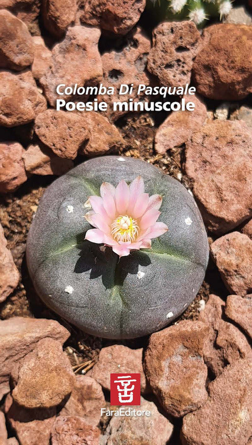 Cover of Poesie minuscole