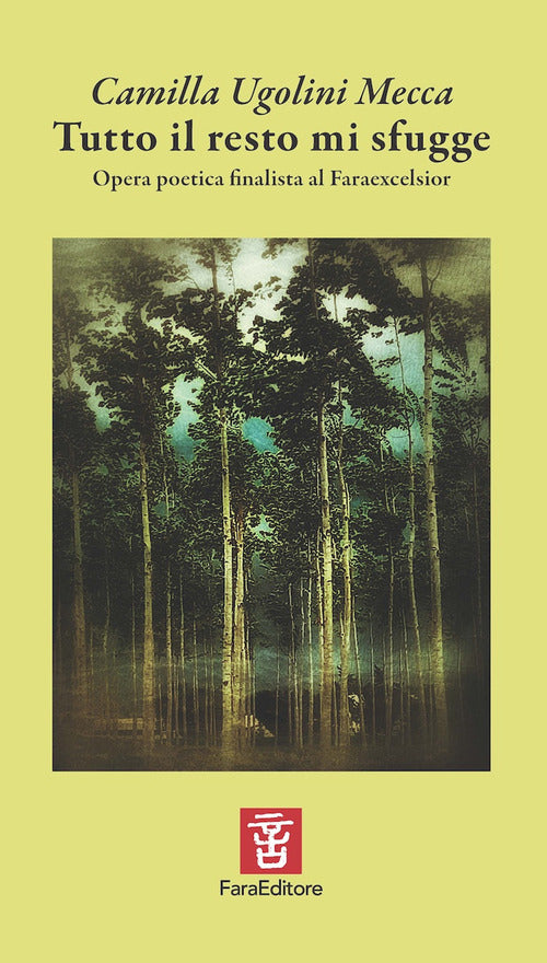 Cover of Tutto il resto mi sfugge