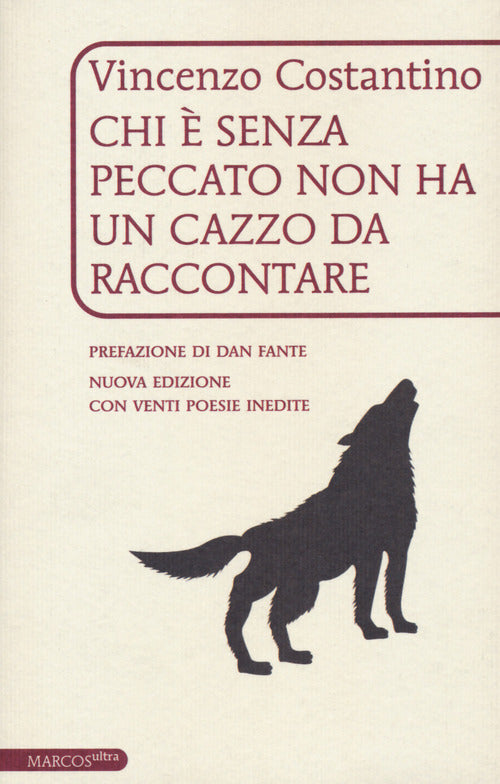 Cover of Chi è senza peccato non ha un cazzo da raccontare