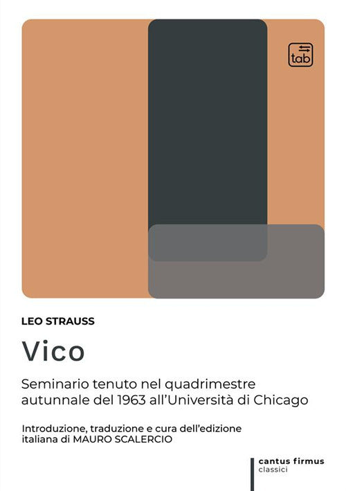 Cover of Vico. Seminario tenuto nel quadrimestre autunnale del 1963 all'Università di Chicago