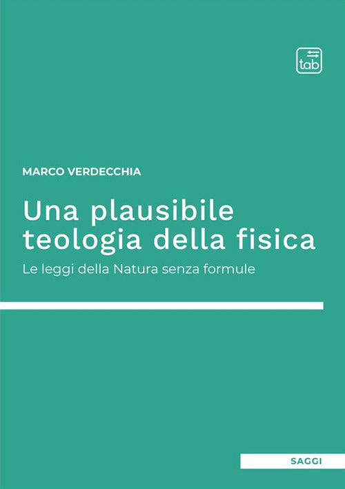 Cover of plausibile teologia della fisica. Le leggi della natura senza formule