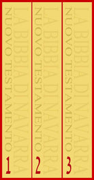 Cover of Bibbia di Navarra. Nuovo testamento