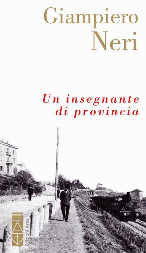 Cover of insegnante di provincia