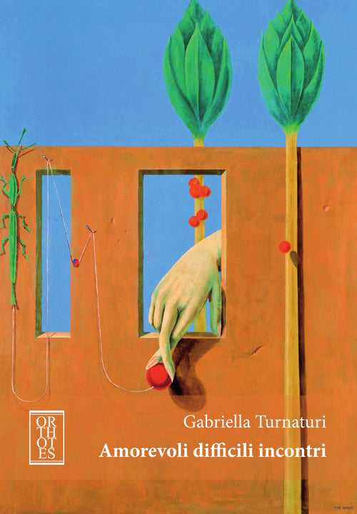 Cover of Amorevoli difficili incontri