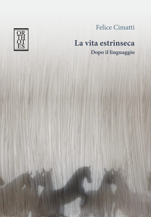 Cover of vita estrinseca. Dopo il linguaggio