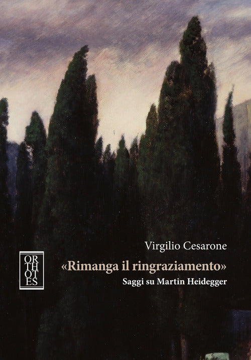 Cover of «Rimanga il ringraziamento». Saggi su Martin Heidegger