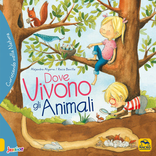 Cover of Dove vivono gli animali. Curiosando nella natura