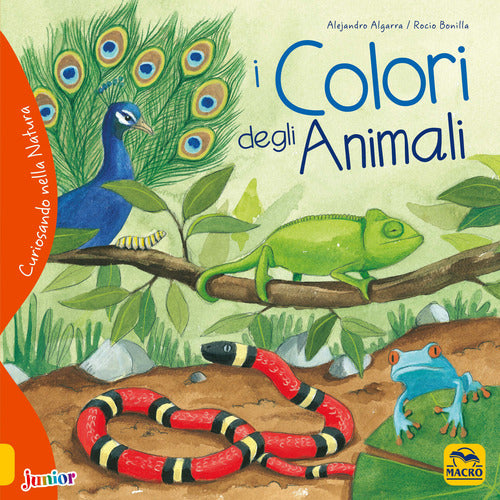 Cover of colori degli animali. Curiosando nella natura
