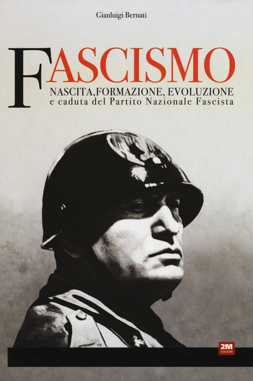 Cover of Fascismo. Nascita, formazione, evoluzione e caduta del partito nazionale fascista