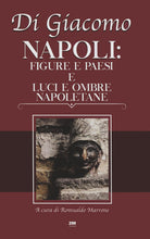 Cover of Napoli: figure e paesi e luci e ombre napoletane