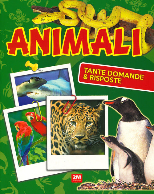 Cover of Animali. Tante domande e risposte