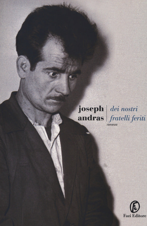 Cover of Dei nostri fratelli feriti