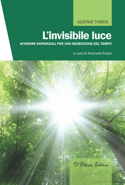 Cover of invisibile luce. Aforismi sapienziali per una redenzione del tempo
