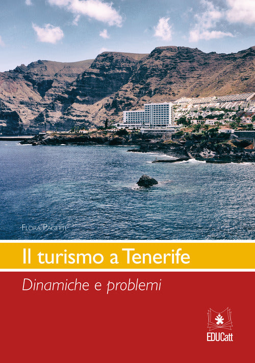 Cover of  turismo a Tenerife. Dinamiche e problemi