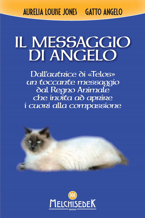 Cover of messaggio di Angelo
