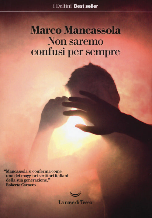 Cover of Non saremo confusi per sempre