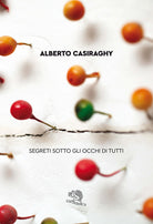 Cover of Segreti sotto gli occhi di tutti