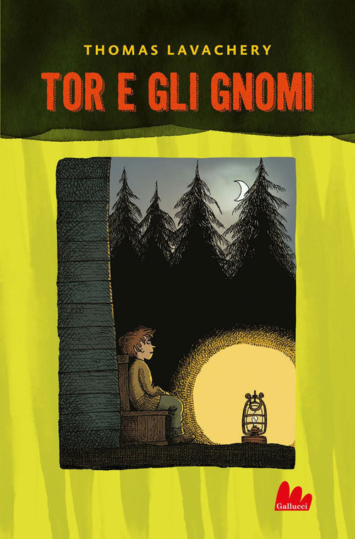 Cover of Tor e gli gnomi